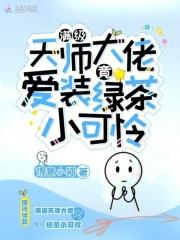 红楼之平阳赋起点