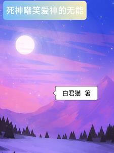 风雪不归人晋江