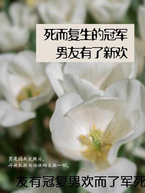 我在敦煌当汉商晋江